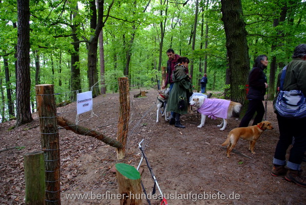 tl_files/hundeauslauf/inhalte/Demo20150514/DSCF8910.JPG